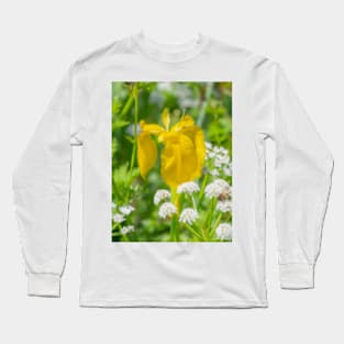 Wild Yellow Iris Long Sleeve T-Shirt